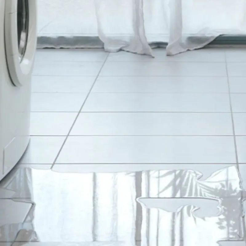 Appliance Leak Cleanup in Ronceverte, WV