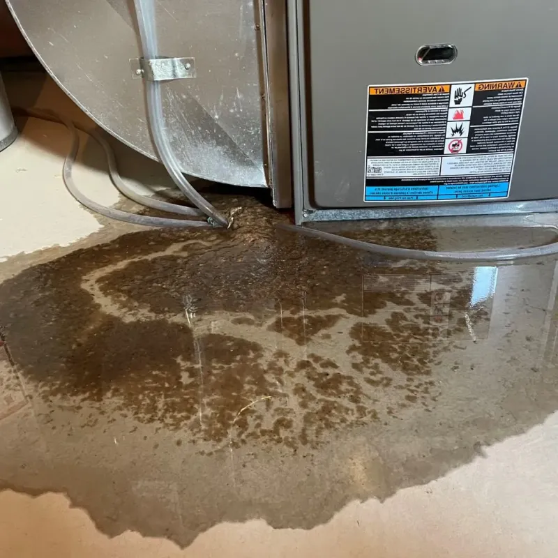 Pipe Burst and Leak Restoration in Ronceverte, WV