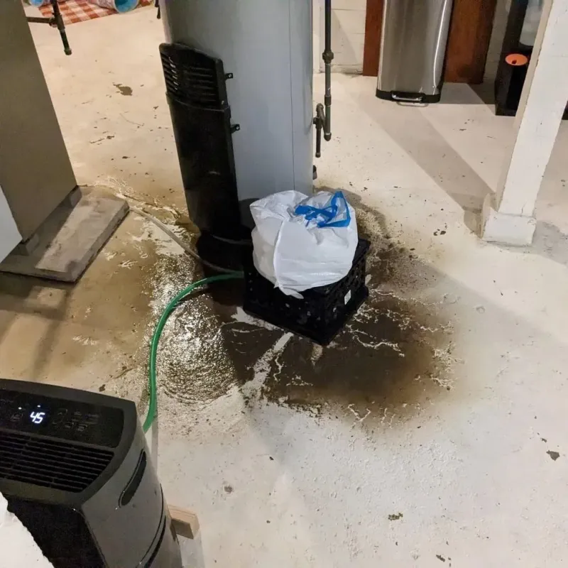 Sewage Backup Cleanup Service in Ronceverte, WV